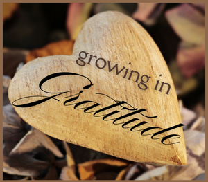 Growing in Gratitude