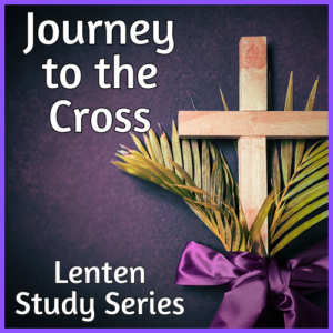 Journey to the Cross