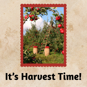 It's Harvest Time!